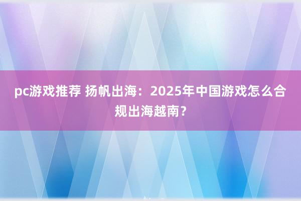 pc游戏推荐 扬帆出海：2025年中国游戏怎么合规出海越南？